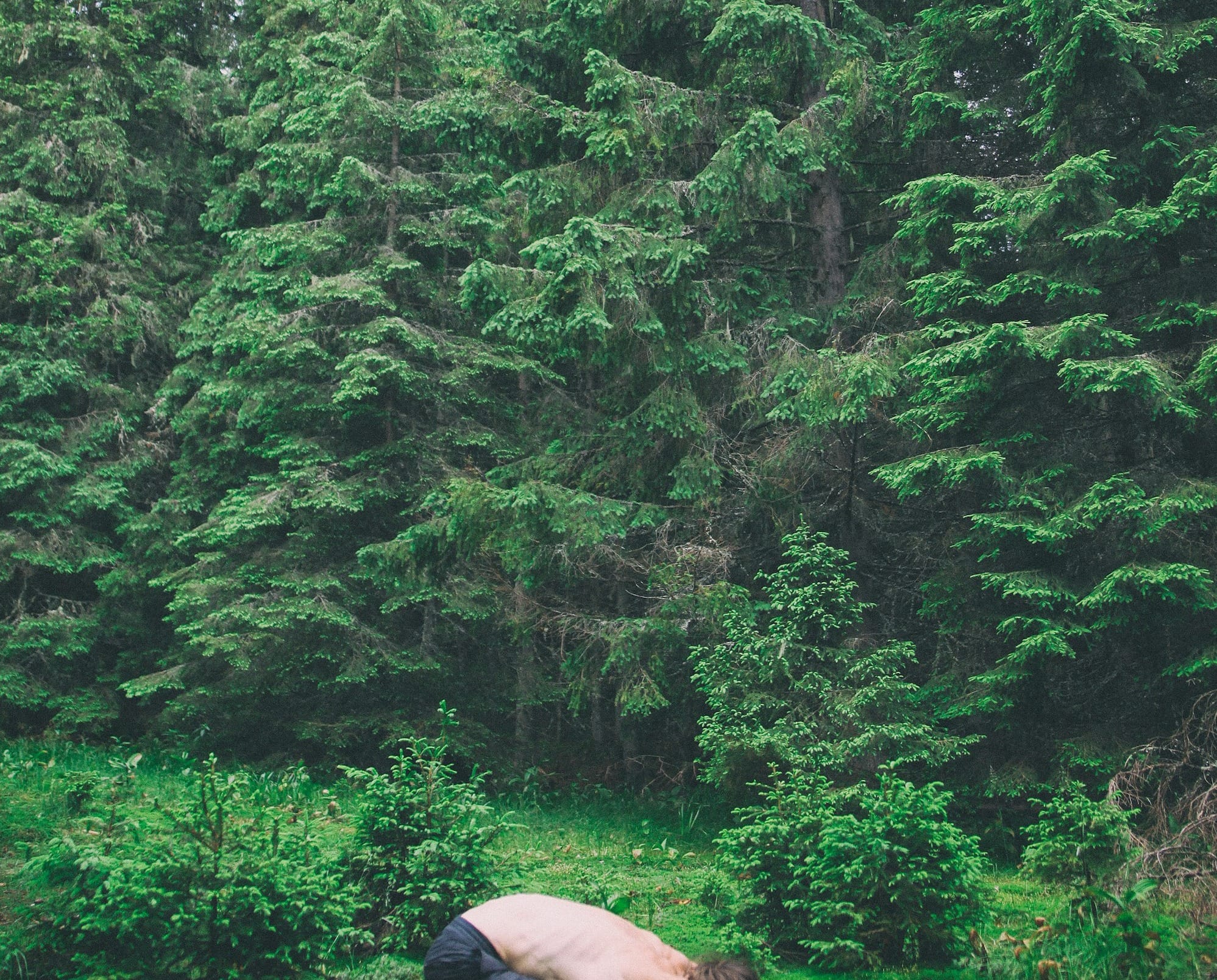 person lying on brown rock in the middle of green trees